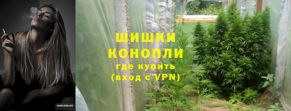 индика Новокубанск