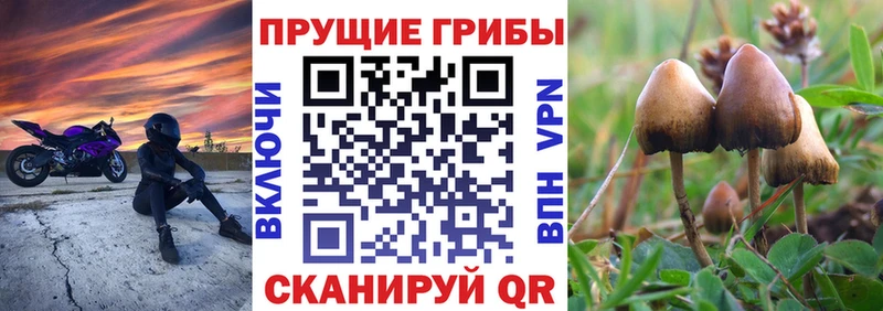Галлюциногенные грибы MAGIC MUSHROOMS  цена   Спас-Клепики 